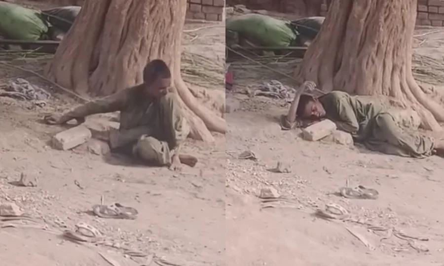خیرپور؛ کتے کے کاٹنے کا علاج نہ ہونے کے باعث ورثاء نے مریض کو درخت سے باندھ دیا