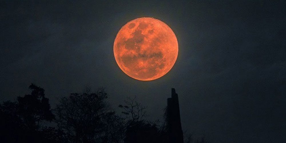 Pakistan will witness