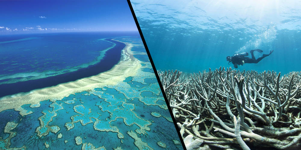 Australia's barrier reef is in poor condition