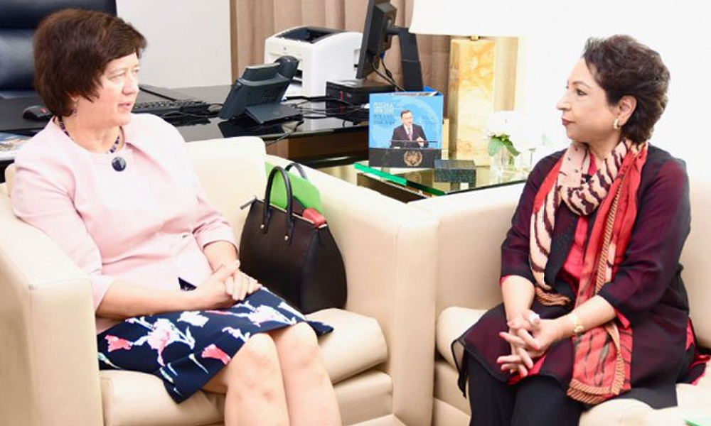 President of the UN Security Council