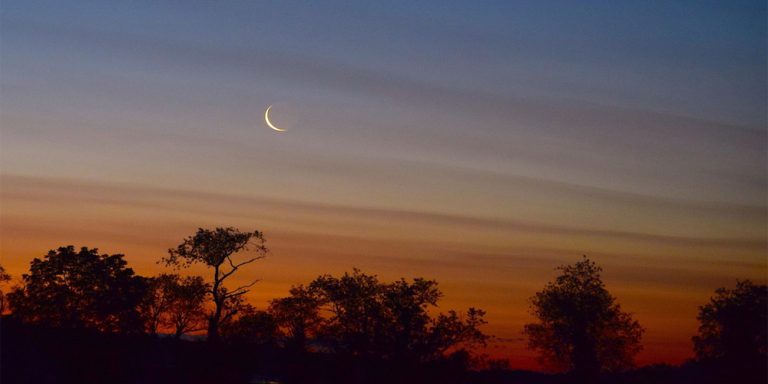 Eid-ul-Adha moon sighted in Pakistan.