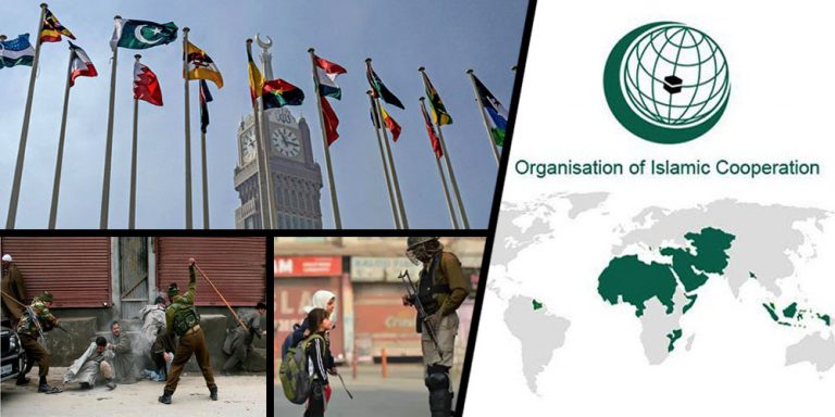 OIC International organizations Kashmir