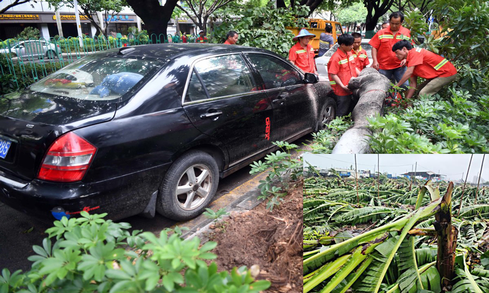 Tropical Storm Bailu paralyzes life in China