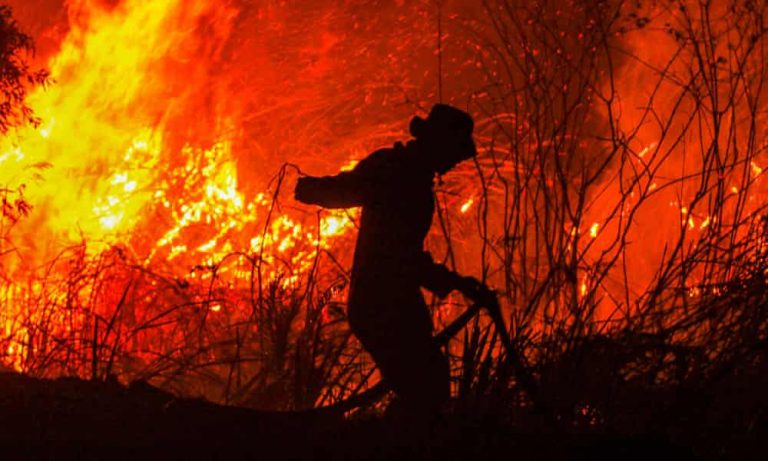 Indonesia forest fires surge, stoking global warming fears