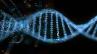 US scientists develop genetic word processor technology