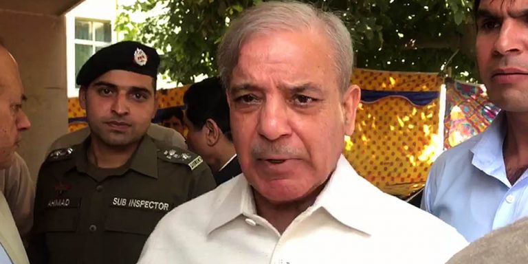 You, your kids becoming poor because of corruption, Shehbaz tells nation