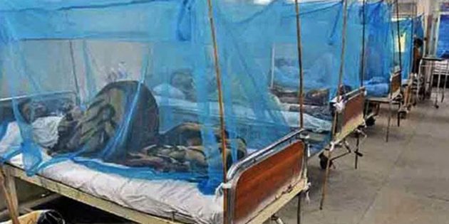 Dengue victim toll crosses 5,000 in Sindh