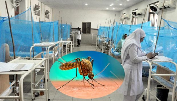 Dengue Menace Grips Pakistan’s Punjab province