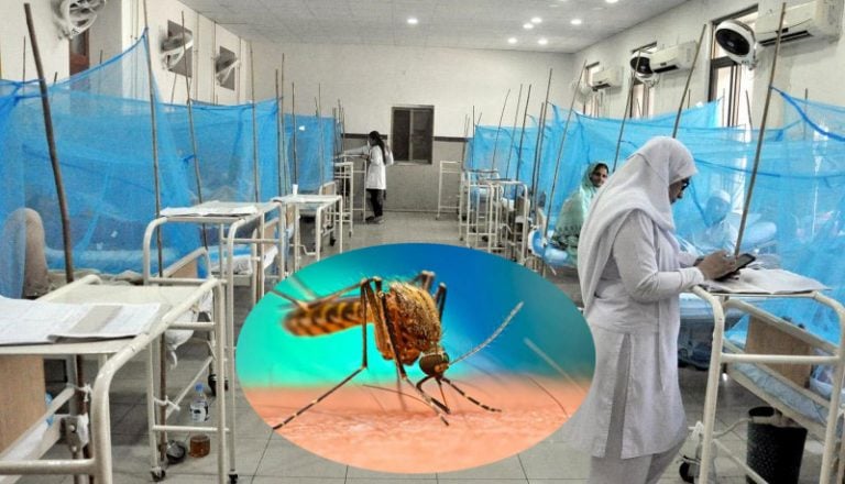 150 more people suffers from dengue fever in Rawalpindi