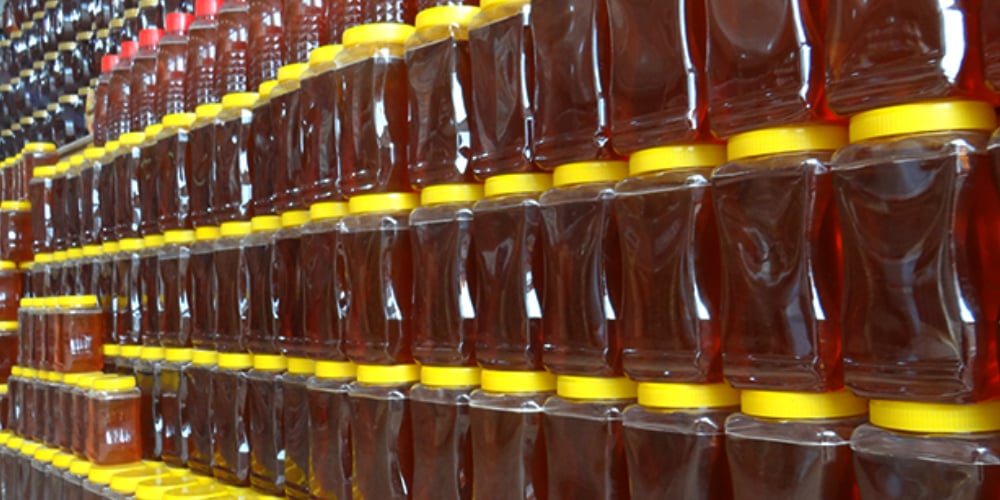 Honey production can increase 10 times in Pakistan: report