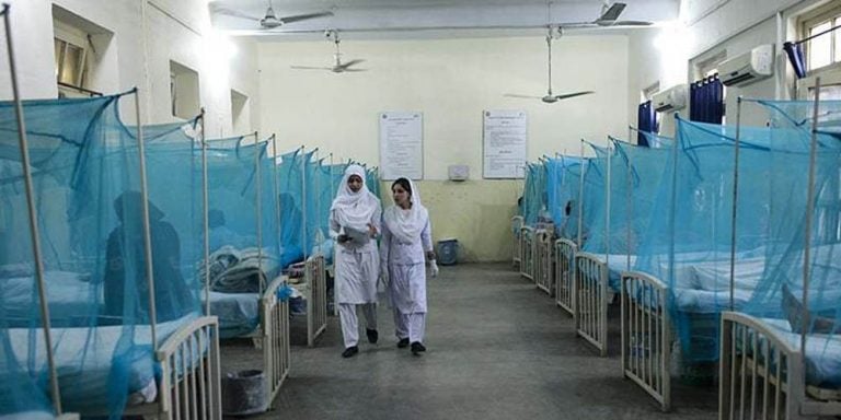 Dengue Menace grips KPK, 13 affectees under treatment