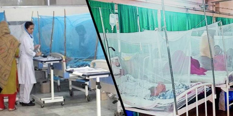 Dengue Menace grips Islamabad, 31 affectees under treatment