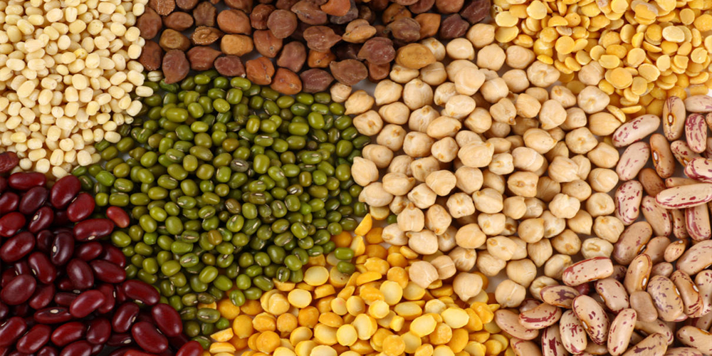 Can peas and beans improves heart health?