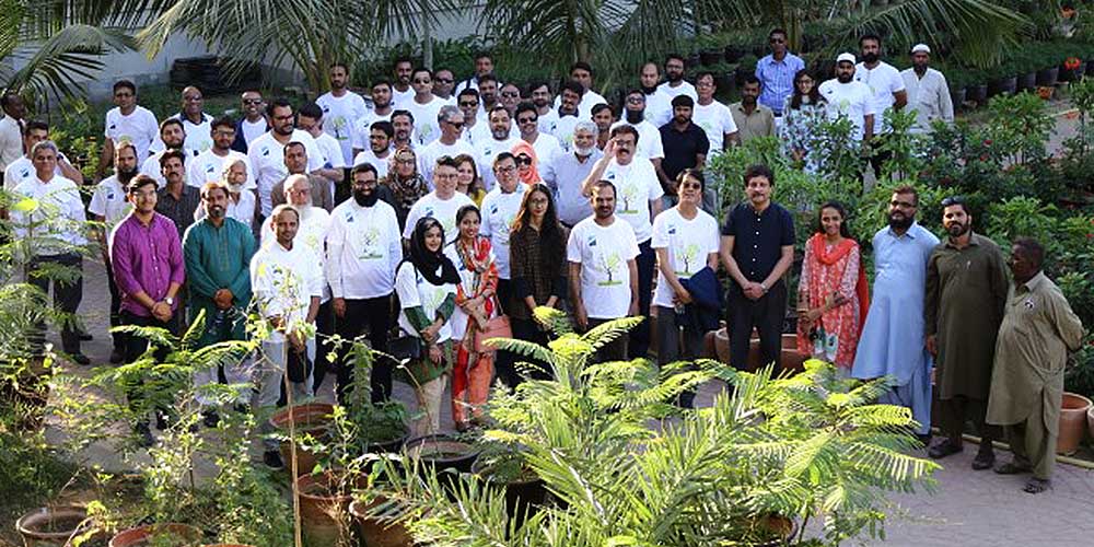 IBA Plantation drive