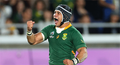Cheslin Kolbe grapples top 14 player of the year award