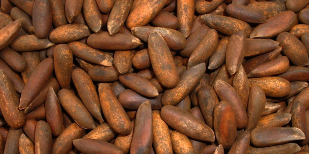 Robbers flee with Pine Nuts of worth Rs 15 million