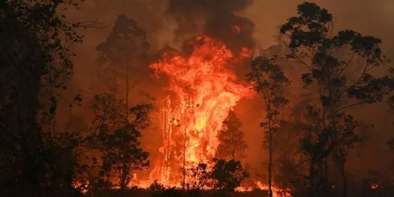 Bushfire alert: 3 killed, 150 homes destroyed in Australia