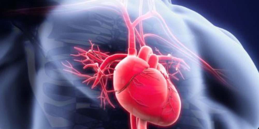 Ischemia: Does angioplasty necessary for cardiac patients?