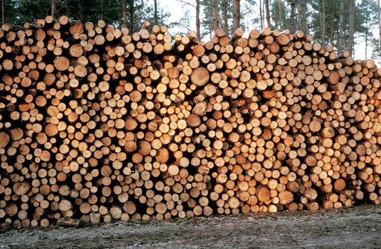 Rise in inflation causes shoot up of timber, coal by 25%