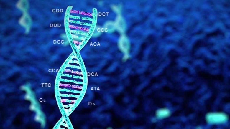 DNA TEST UAE
