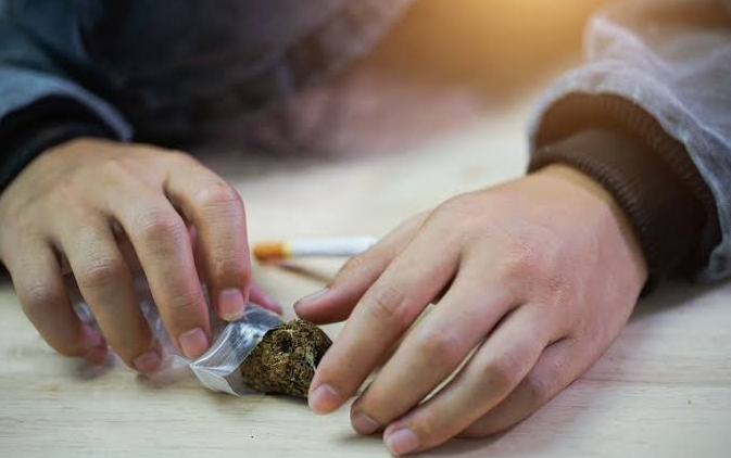 Marijuana smokers more likely to bear testicular cancer