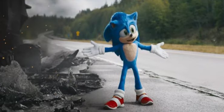 Sonic the hedgehog