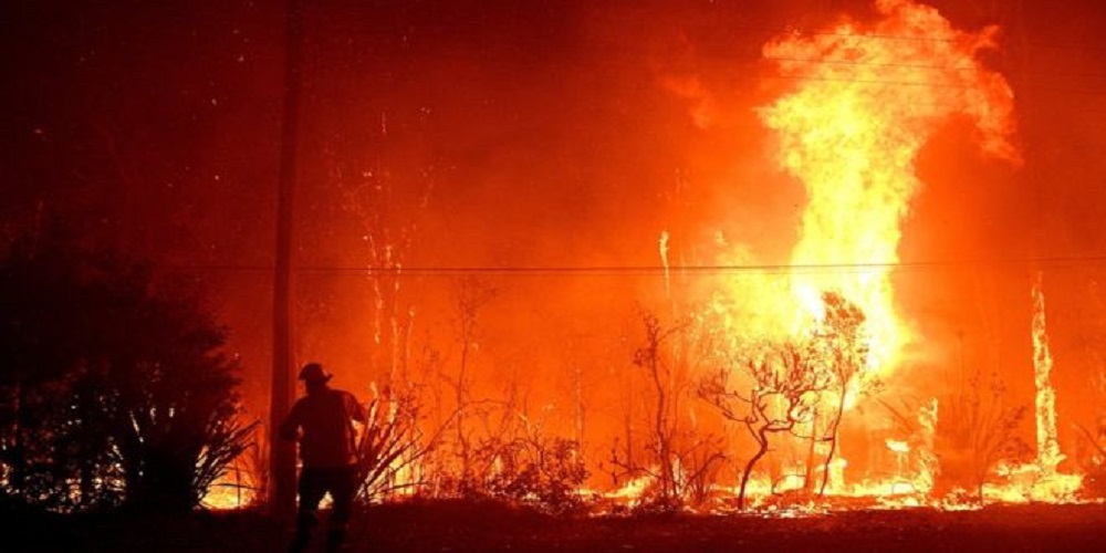 Enormous bushfires in Australia have caused huge destruction