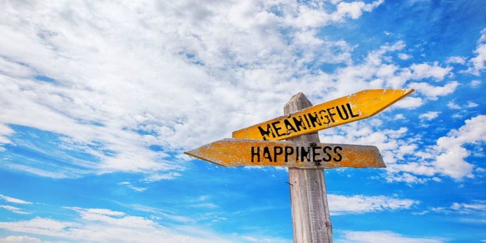 Finding meaning in life can keep us happy & healthy with age