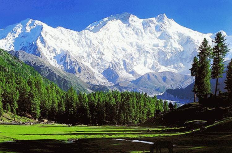 Pakistan declared as the top tourist destination for 2020