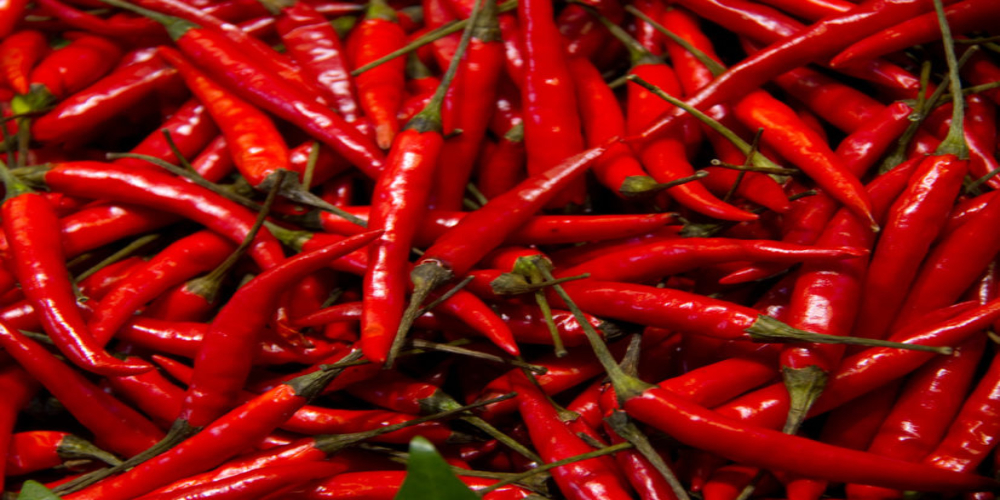 Are Red Chilli Peppers Beneficial for Human Health?