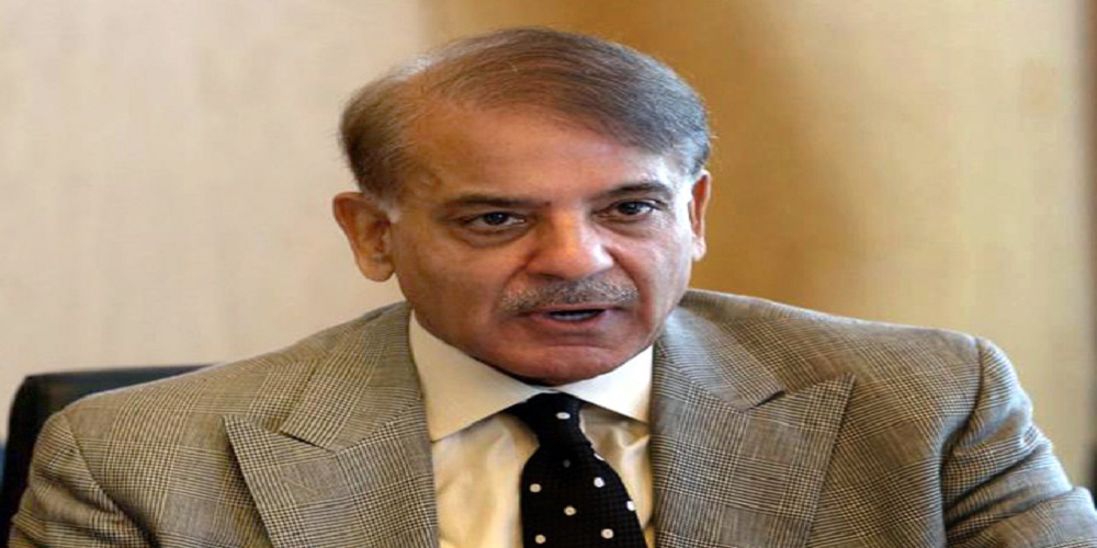 Shehbaz sends recommendations for the post of CEC