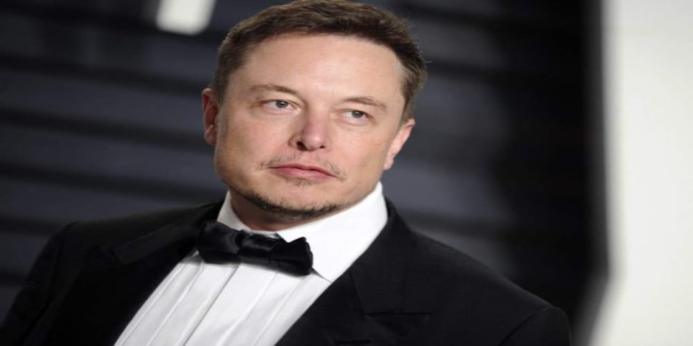 Tesla Chief Executive Bashes Wikipedia