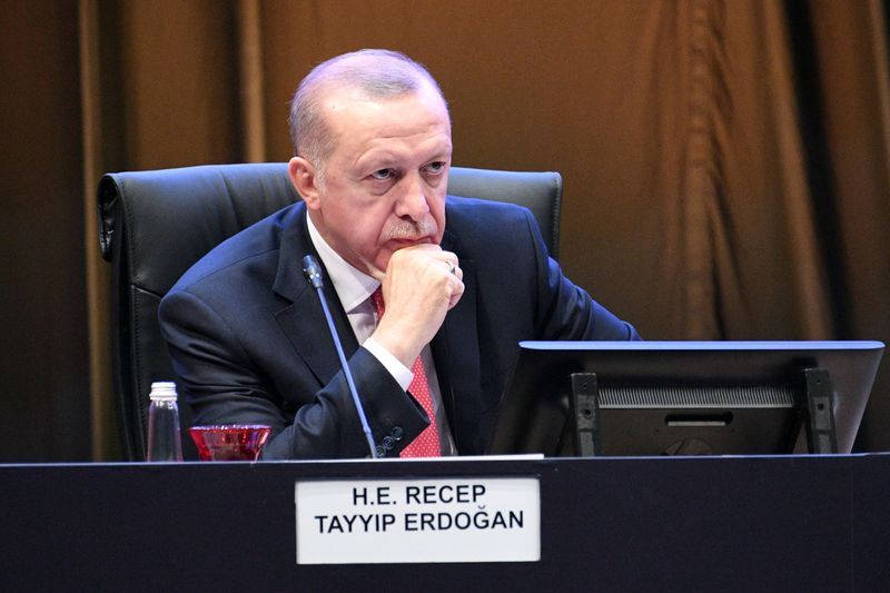 Turkey ready to send troops to Libya: Erdogan