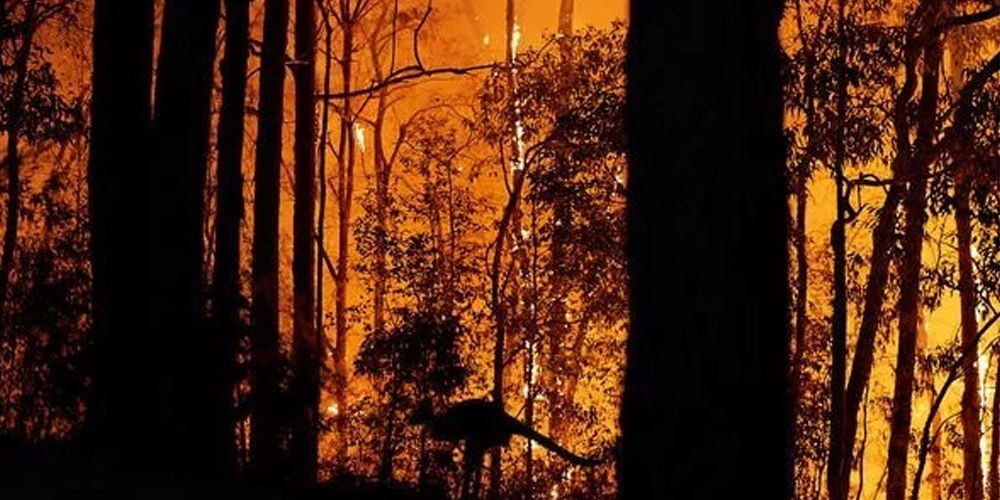 ‘Satanic face’ captured in photo of Australia fires