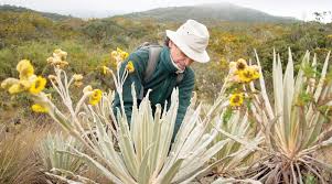 Colombian botanist risking his life to preserve nature’s memory