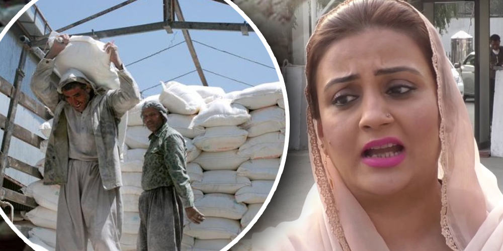 Punjab Government sends truck loaded with flour sacks to Uzma Bukhari’s residence