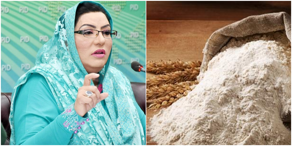 Wheat provided to flour mills in Punjab at subsidized rate: Firdous