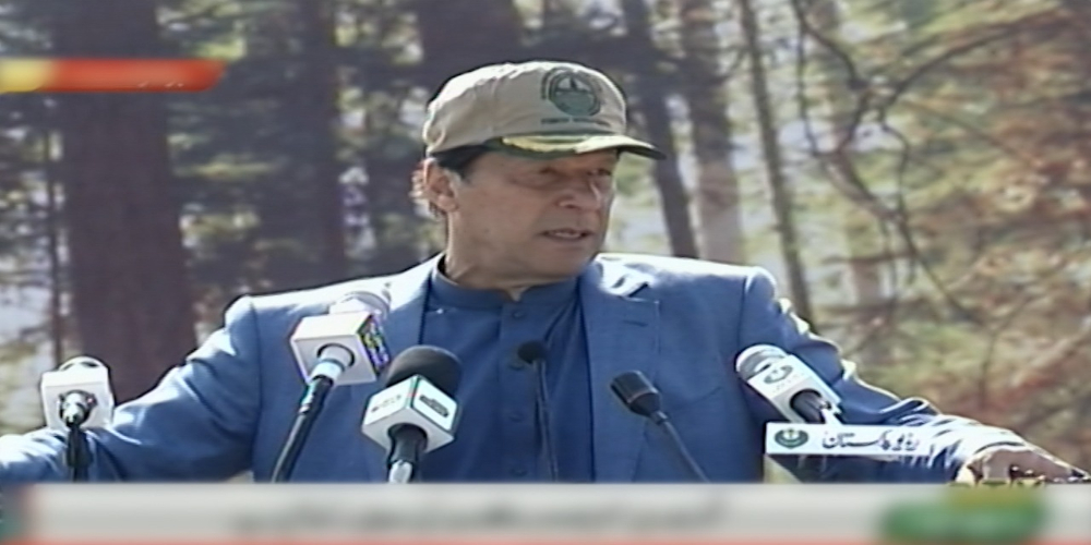 Deforestation in Pakistan will affect future of people: PM Imran Khan