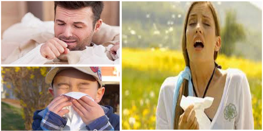 Cure winter allergies through these treatments