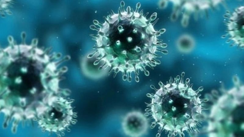 More Coronavirus Patients Recovered in Sukkur and Balochistan