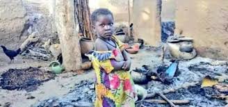 14 children among at least 22 dead in Cameroon massacre – UN
