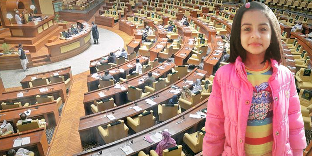 Upper house passes Zainab Altert Bill 2020
