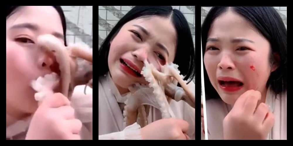 Octopus sucks vlogger face who tried to eat it alive