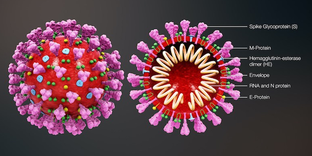 Facts check: Six misconceptions about coronavirus