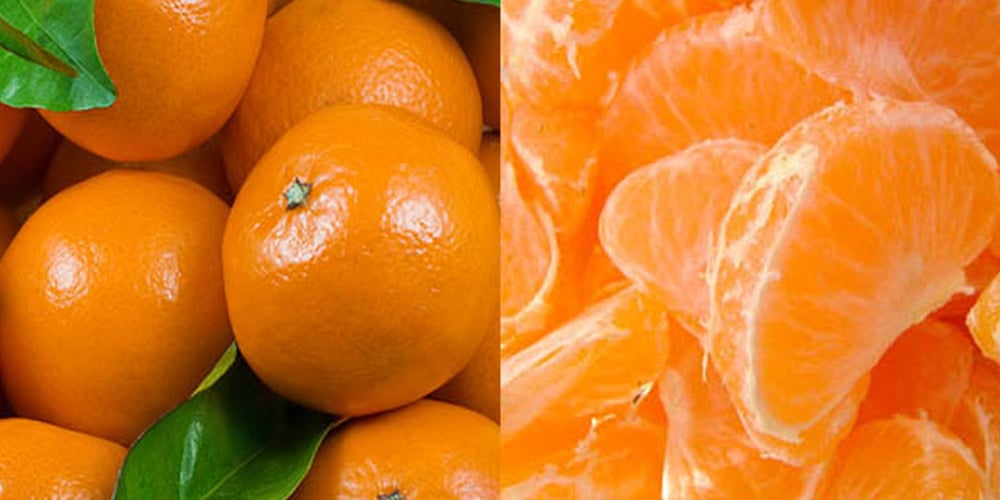 First shipment of Pakistani oranges reached China