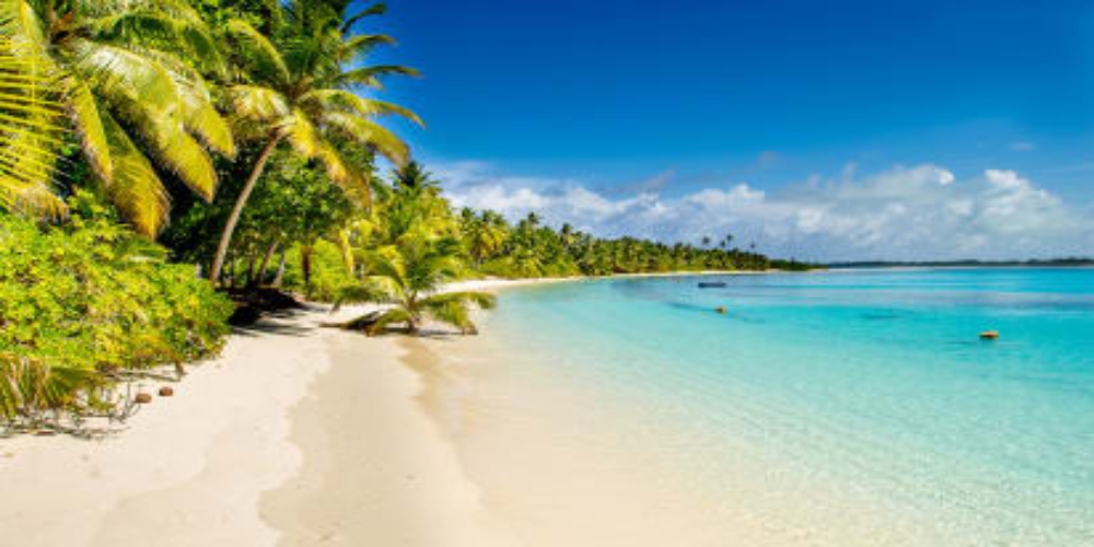 Half of beaches