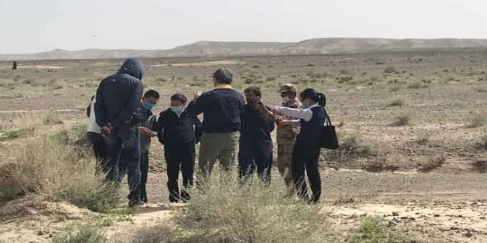 Locusts affected area