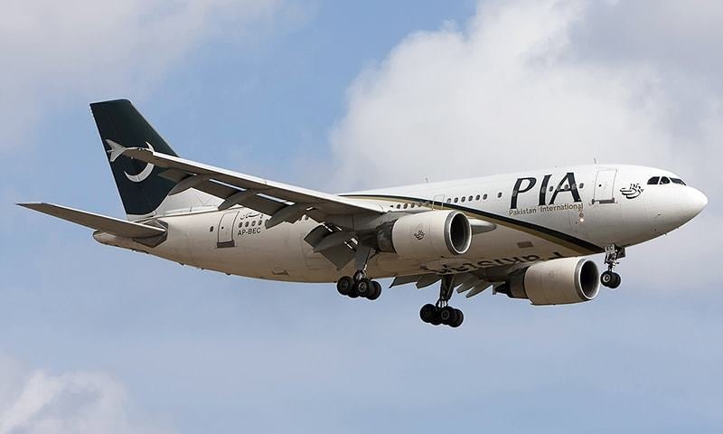 PIA pilots fake license