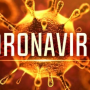 Coronavirus Worldometer Pakistan: Covid-19 Updates from Pakistan, 24 April