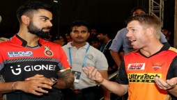 Australian Batsman David Warner